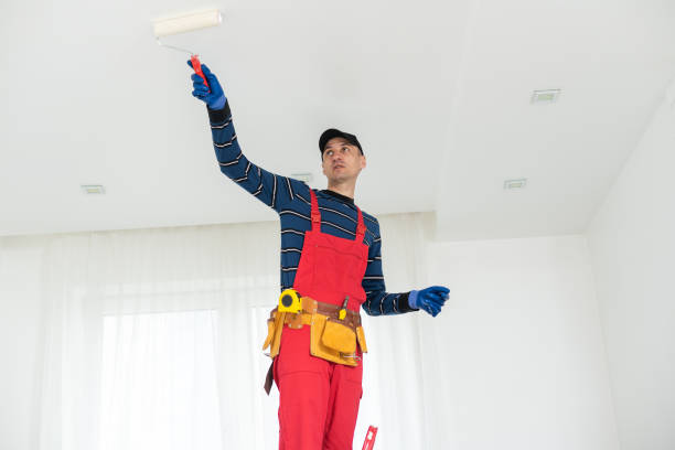 Red Lodge, MT Mold Removal Company
